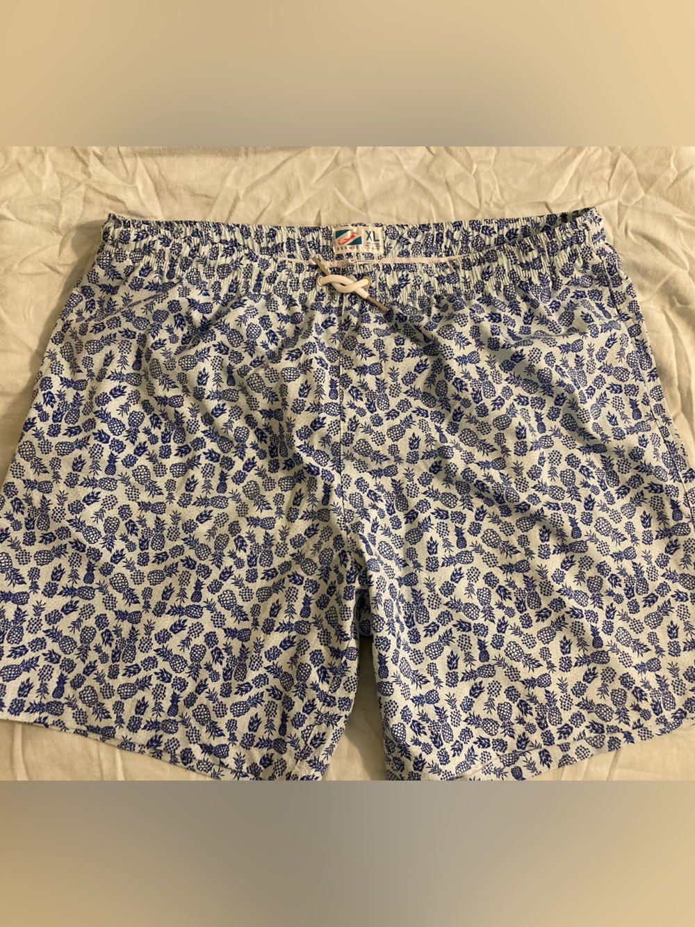 Men's White & Blue Pineapple Print Swim Trunks